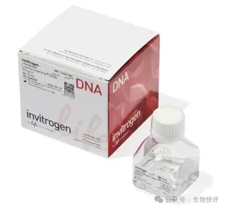 文本 AI 生成的内容可能不正确。