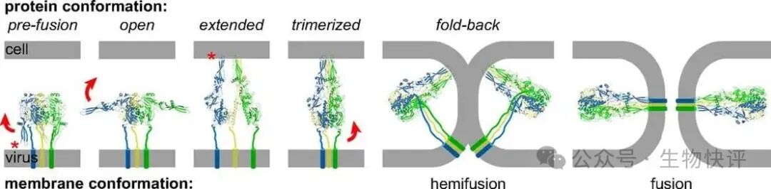 圖示 AI 生成的內容可能不正確。