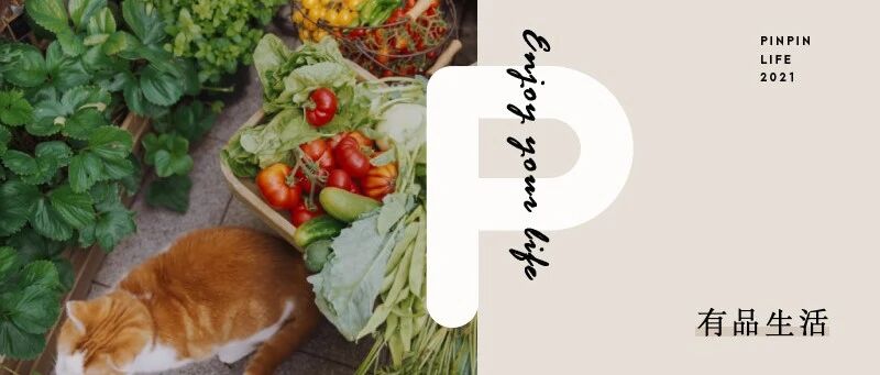 2米阳台，竟能种出20种菜！这些年轻人都是当代陶渊明