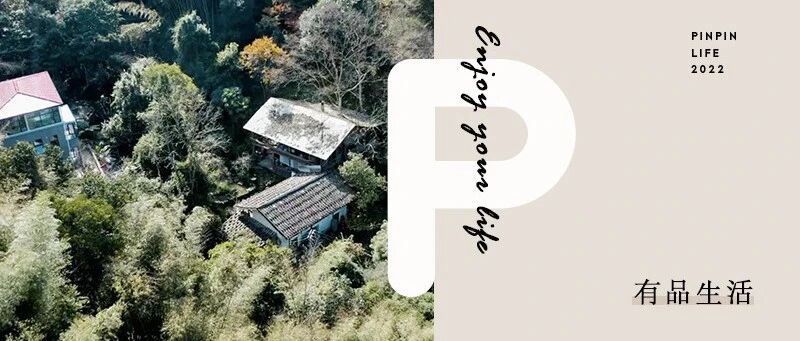 8个好友在山里「抱团同居」：全年不花钱，山间养育下一代，前所未有的快乐