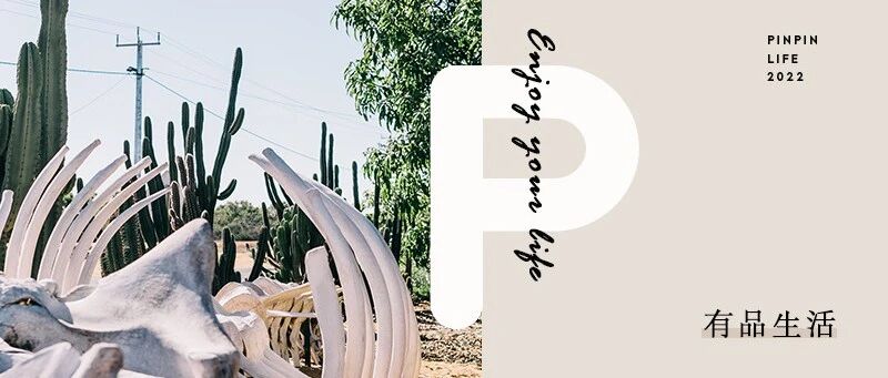 95后女入殓师，一年处理400具遗体，月薪曝光！网友：给100万我也不干！