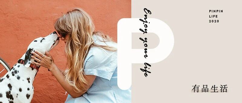 忠犬被迫流浪4年，终于再见主人后它却转身离去，背后真相让人泪目……