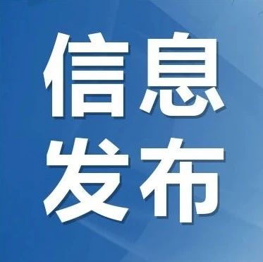 百人网络媒体团探访天津——感受澎湃活力 定格“津”彩斑斓