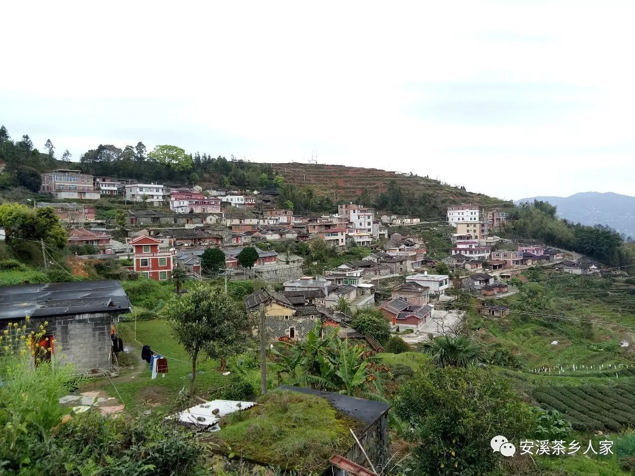 重磅:安溪这三个乡村入选第二批省级传统村落名录