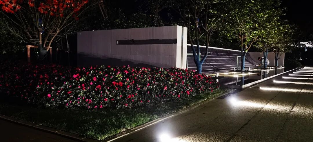 奔走相告（祝君新春快乐）祝君元旦快乐，(图11)