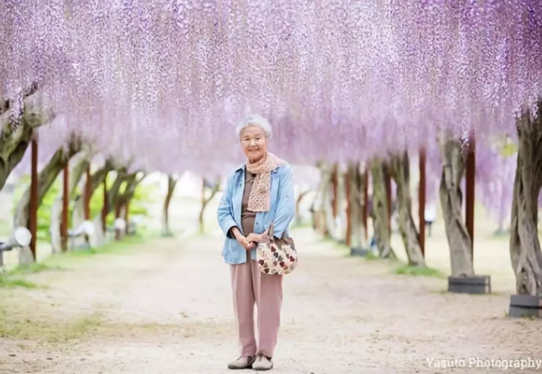 櫻花樹下85歲奶奶和柴犬一張圖片，獲12萬人點讚：