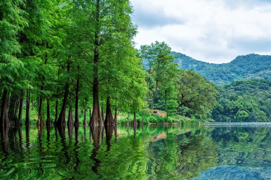 这样的生活，只有白云配得上！