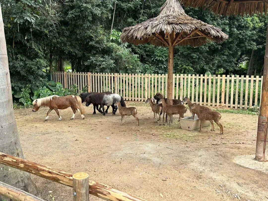 有90多平小户型！华润置地长隆项目，今天动工了