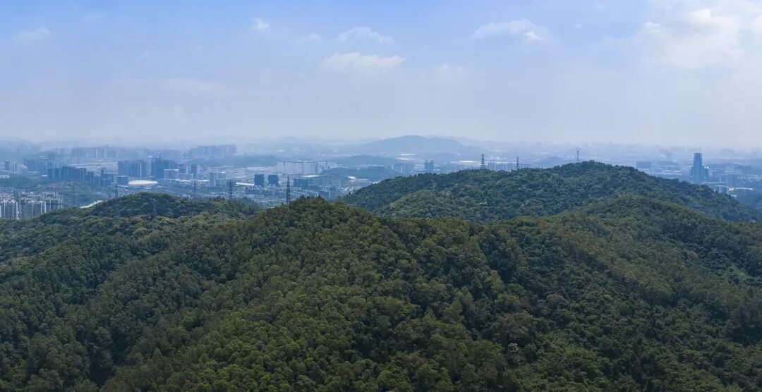 中铁建·信达·花语天宸