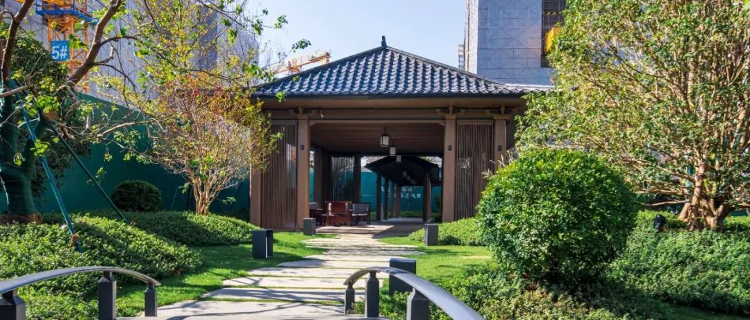 五年再磨一剑！知识城的封面作品，康大龙祥汇终于来了