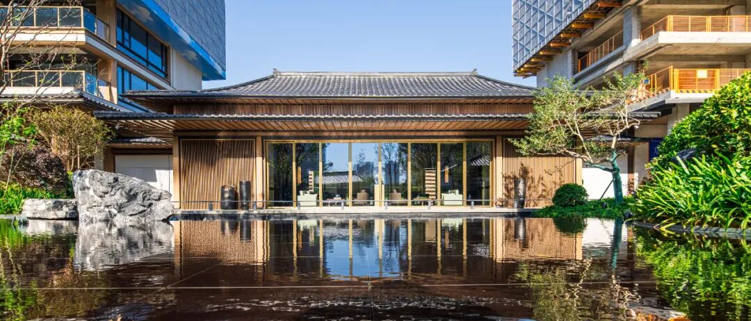 五年再磨一剑！知识城的封面作品，康大龙祥汇终于来了