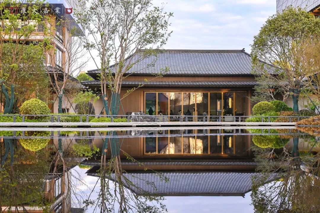 五年再磨一剑！知识城的封面作品，康大龙祥汇终于来了