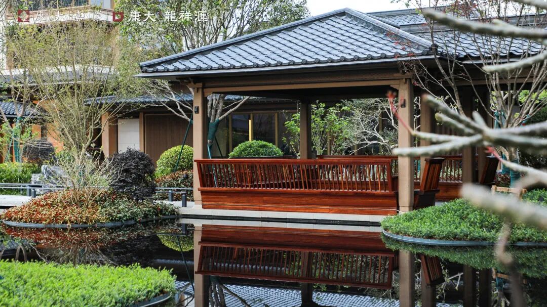 五年再磨一剑！知识城的封面作品，康大龙祥汇终于来了