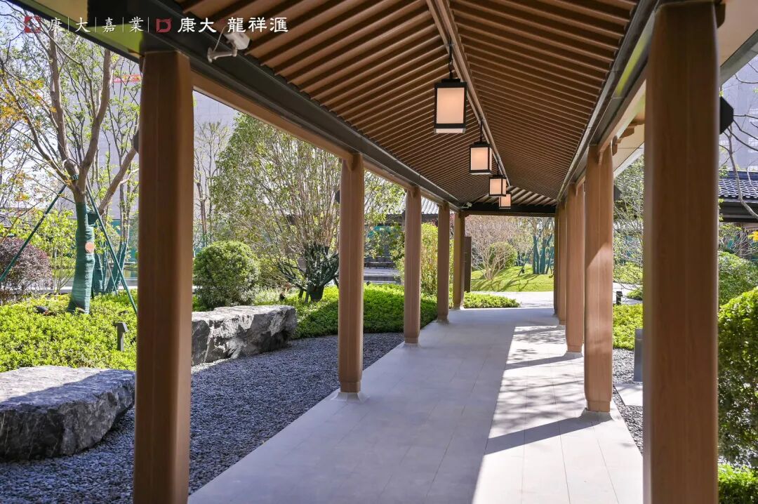 五年再磨一剑！知识城的封面作品，康大龙祥汇终于来了