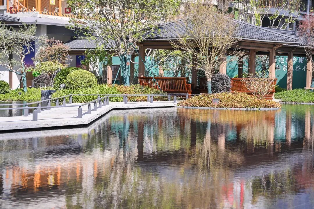 五年再磨一剑！知识城的封面作品，康大龙祥汇终于来了