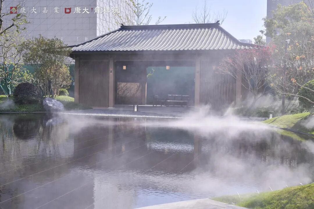 五年再磨一剑！知识城的封面作品，康大龙祥汇终于来了