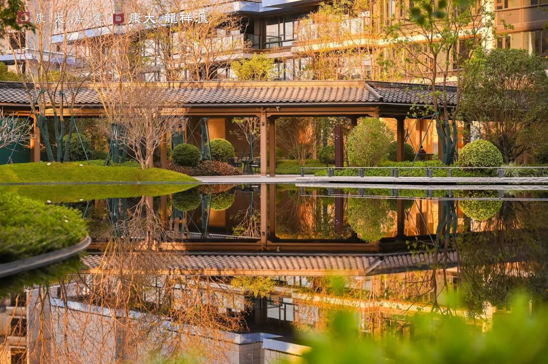 五年再磨一剑！知识城的封面作品，康大龙祥汇终于来了