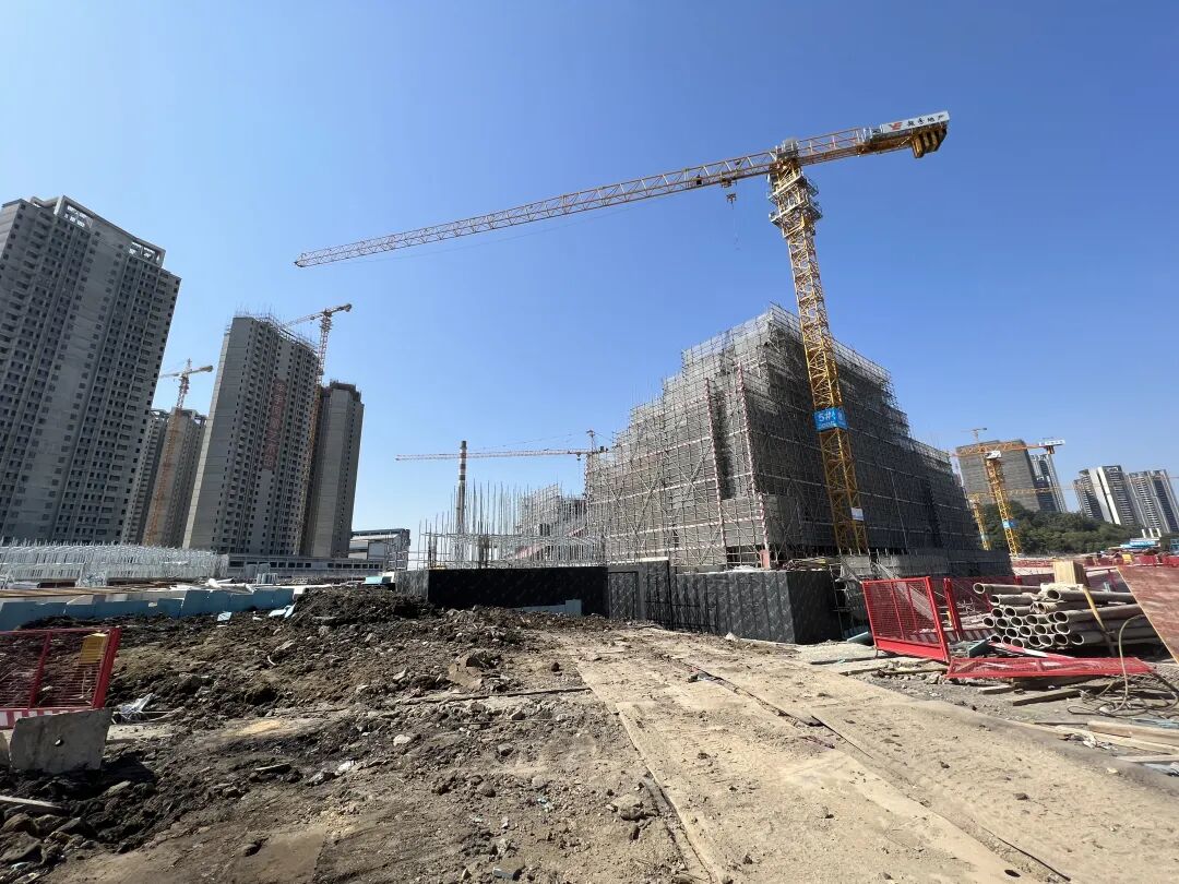 75㎡三房、还有9年一贯制！南沙全新江景盘【越秀·滨海花城】入市！