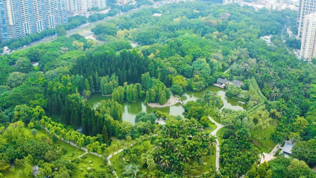 珠江新城，究竟什么样的房子，会被有钱人疯抢吗？