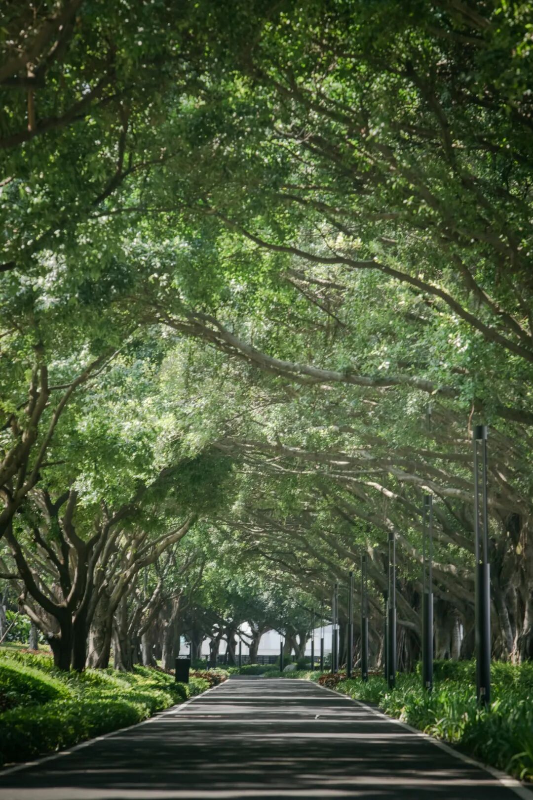 番禺南天名苑新推建面约200㎡一线江幕大平层，总价是1700万+