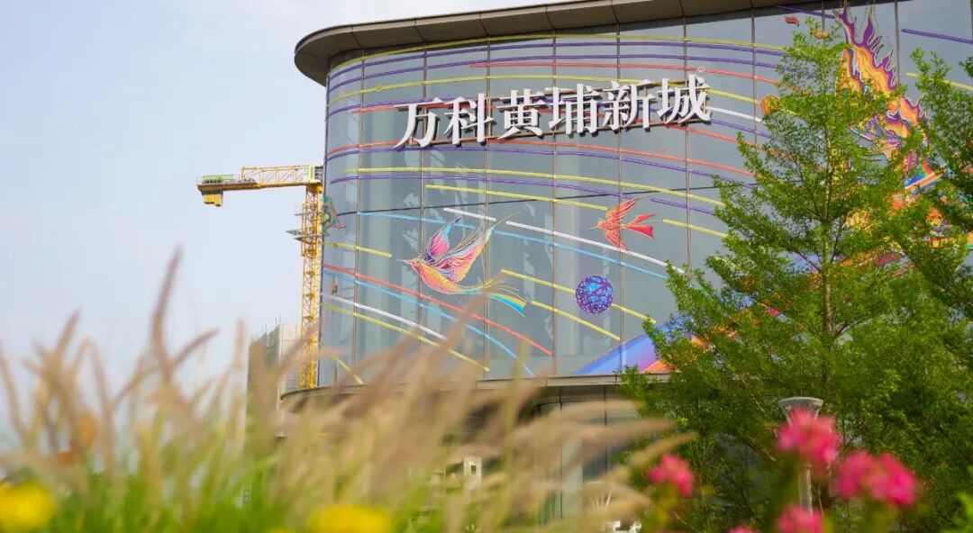 黄埔*波*调整，我看到了3个利好