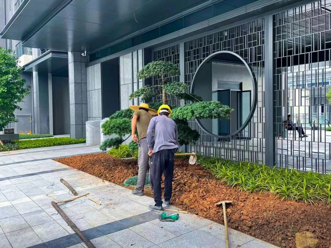 黄埔融创翔龙广府壹号月底收楼？