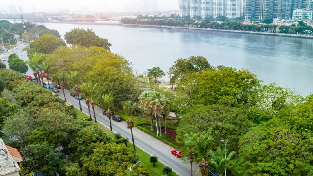 197亿！番禺*地块成交，万博版块进入价值裂变期，珠江铂世湾受益？