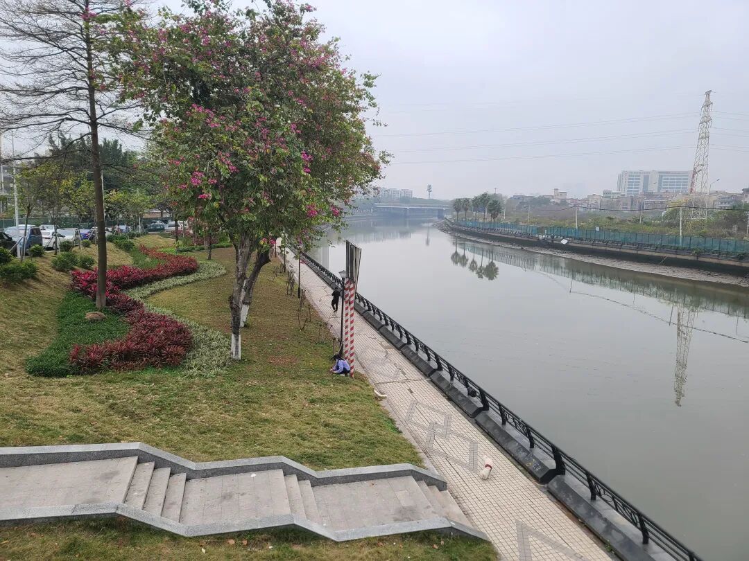 白鹅潭又冒出一个新盘？保利锦上印要冲7万+？