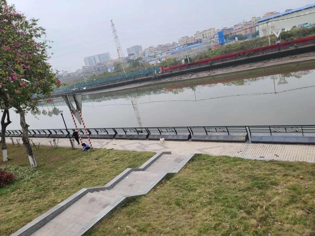 白鹅潭又冒出一个新盘？保利锦上印要冲7万+？