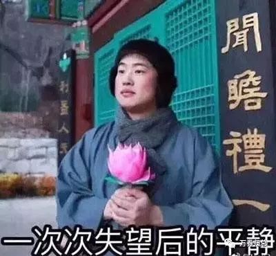 青蛙旅行攻略