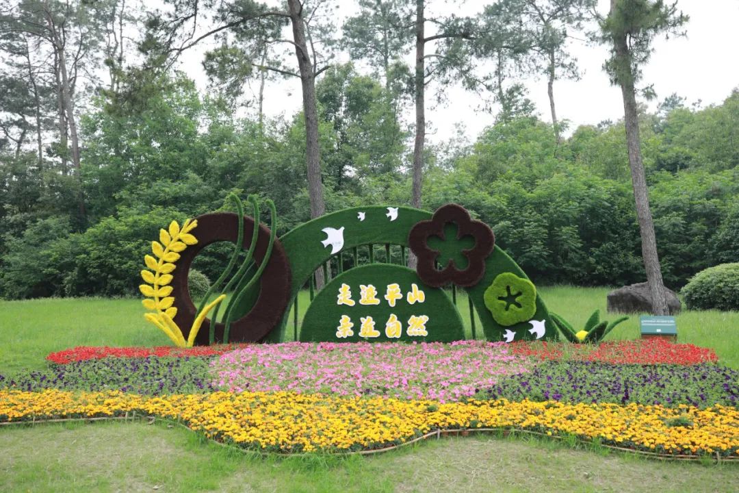 图片关键词