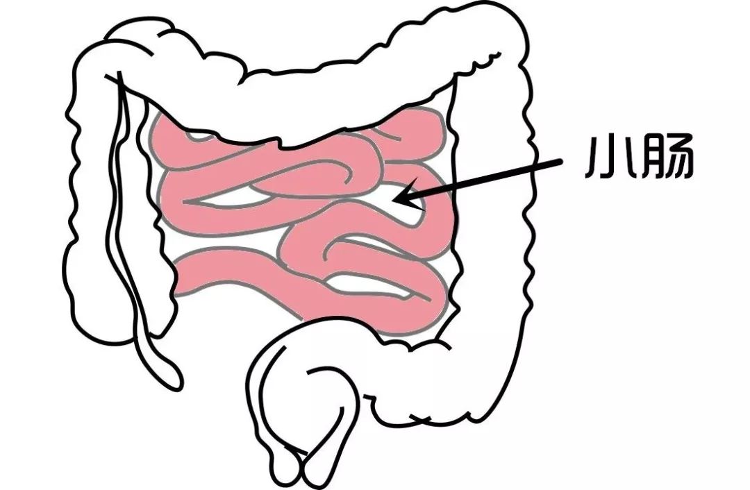 肚子疼究竟是哪里疼？医生说这几种肚子疼格外