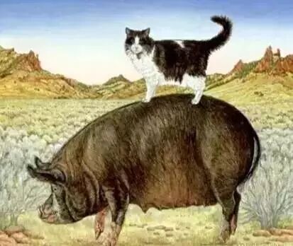 故事很短，道理很深！