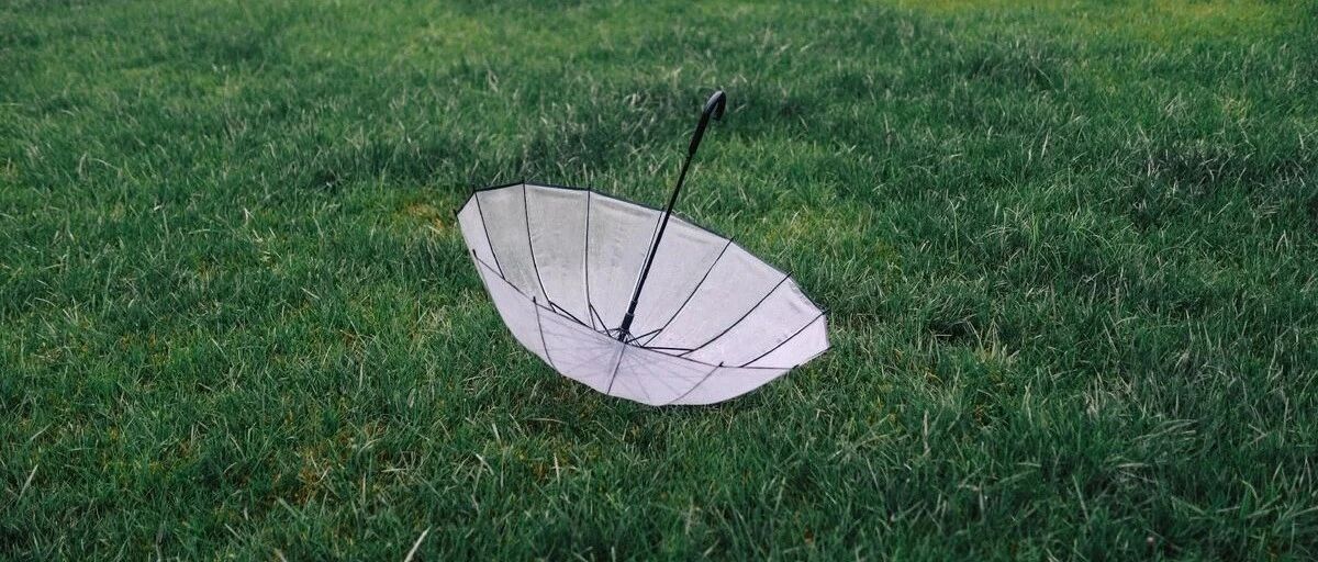 不爱发朋友圈的，都是什么样的人呢？