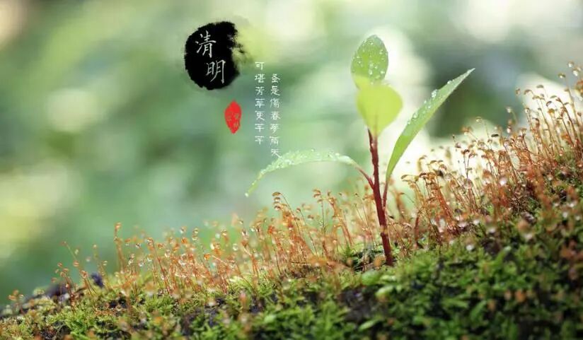 清明节：愿逝者安息，愿生者珍惜！