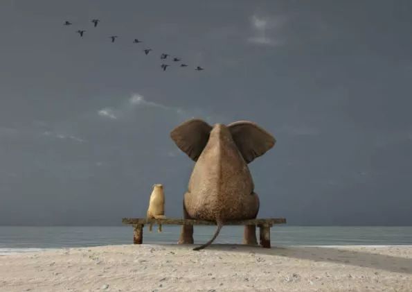 



决定心态的 11 个建议，你一定要了解
