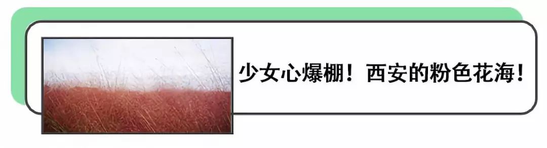 西安萬聖節撞鬼指南新鮮出爐，厲鬼、僵屍、怨靈在此恭候大駕，不怕你來，就怕你慫！ 靈異 第46張