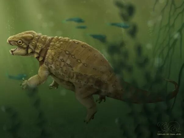 霸王龙对战棘_霸王龙大战棘龙龙_棘龙和霸王龙哪个厉害