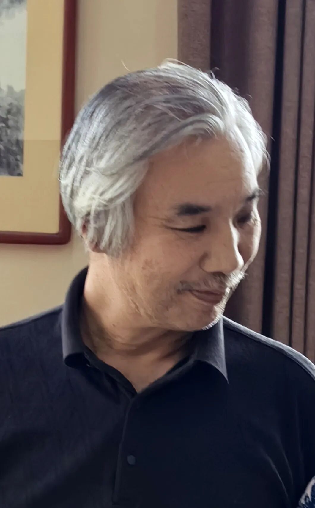 苏京凌 | 新加坡人文艺术线上交流展特邀艺术家（图2）