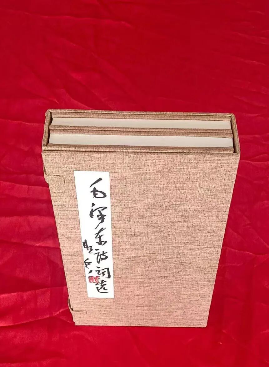 班 兵 | 新加坡人文艺术线上交流展特邀艺术家（图30）
