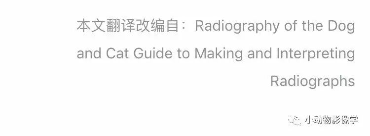 动物拍片腹部怎么摆如何为犬猫拍摄一张摆位完美的X线片_https://www.jmylbn.com_新闻资讯_第66张
