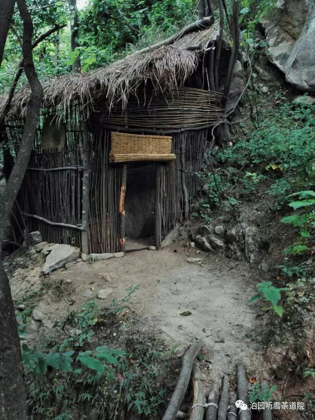 泊园茶村 首开中华茶道讲习课程 泊园听雪茶道院 微信公众号文章阅读 Wemp