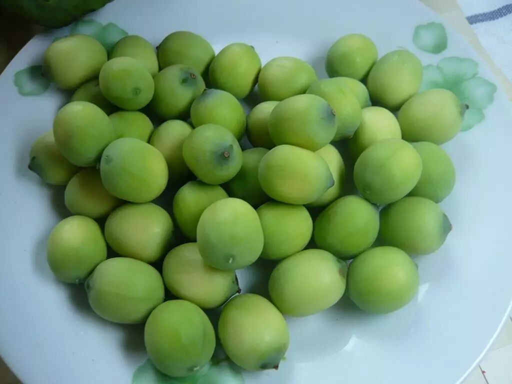 新鲜莲子全身是宝,再不吃就过季了!