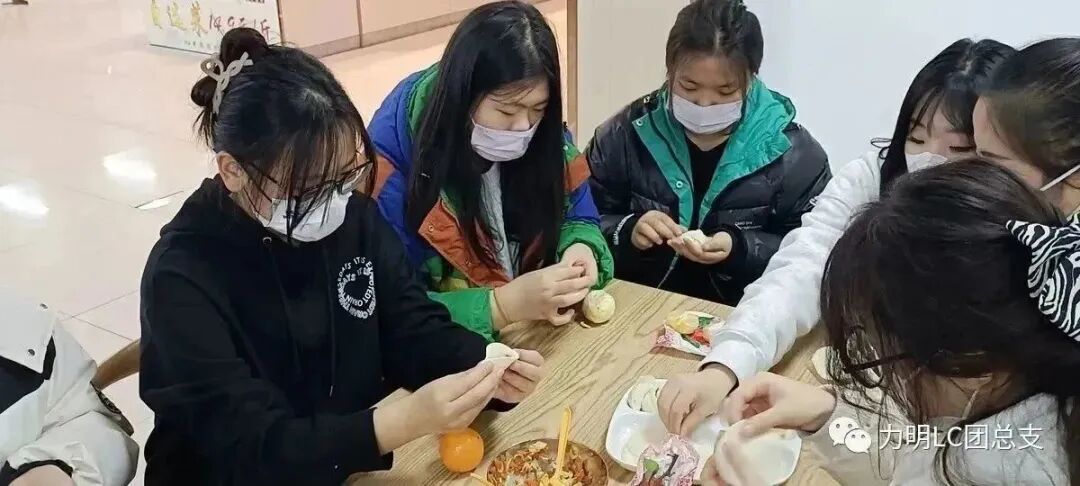 山东力明科技职业学院