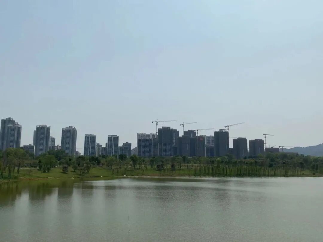 在广州，总价200万，*好的选择在哪里？