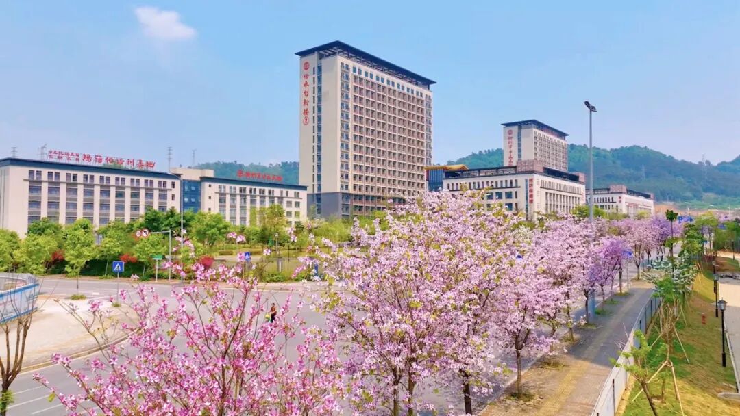 广西-柳州市中医医院(柳州市壮医医院),2022年招聘中医师,临床医师