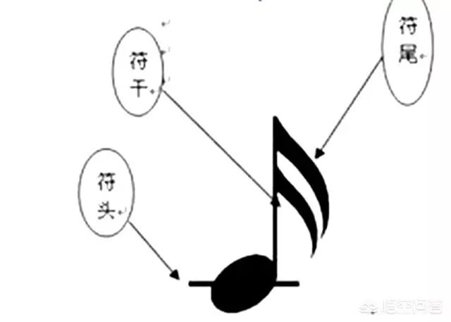 老师好推荐 五线谱的音符符杆上两个横杠是什么意思 好老师共享平台 微信公众号文章阅读 Wemp