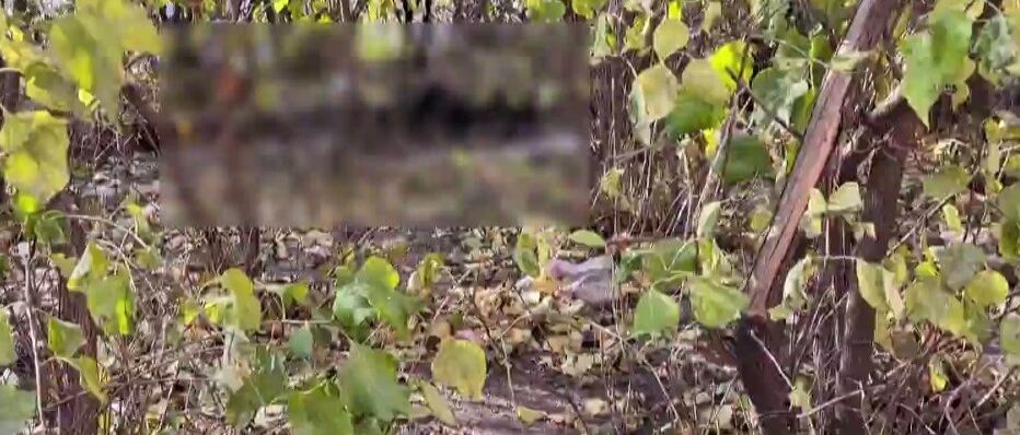 哈尔滨一小区院内，发现一具疑似被烧焦的“遗骸”！警方已展开调查