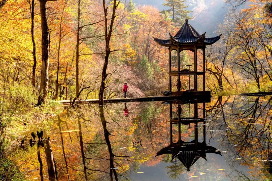 喜訊：漢中3縣區(qū)被命名為“陜西省全域旅游示范區(qū)”！