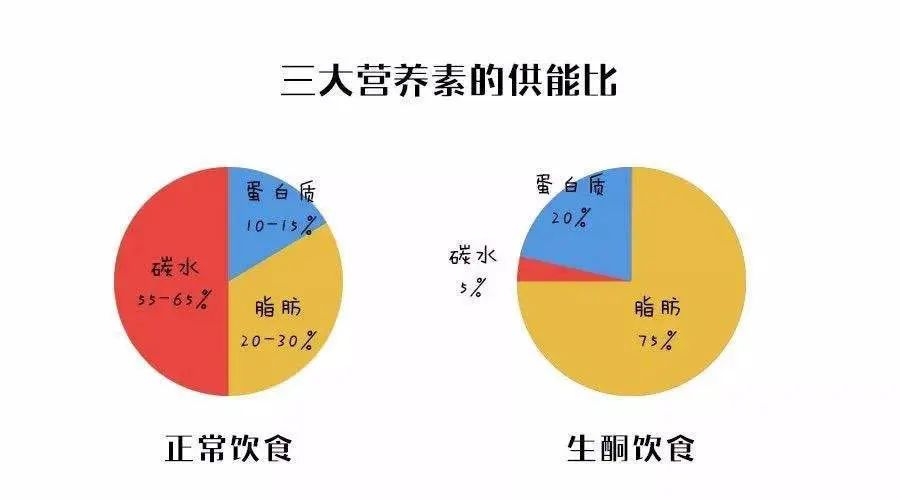 人体三大营养素比例图片